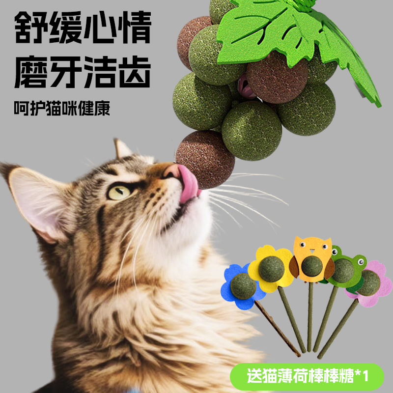猫薄荷葡萄串逗猫棒猫玩具自嗨解闷磨牙洁齿虫瘿果木天蓼薄荷猫球