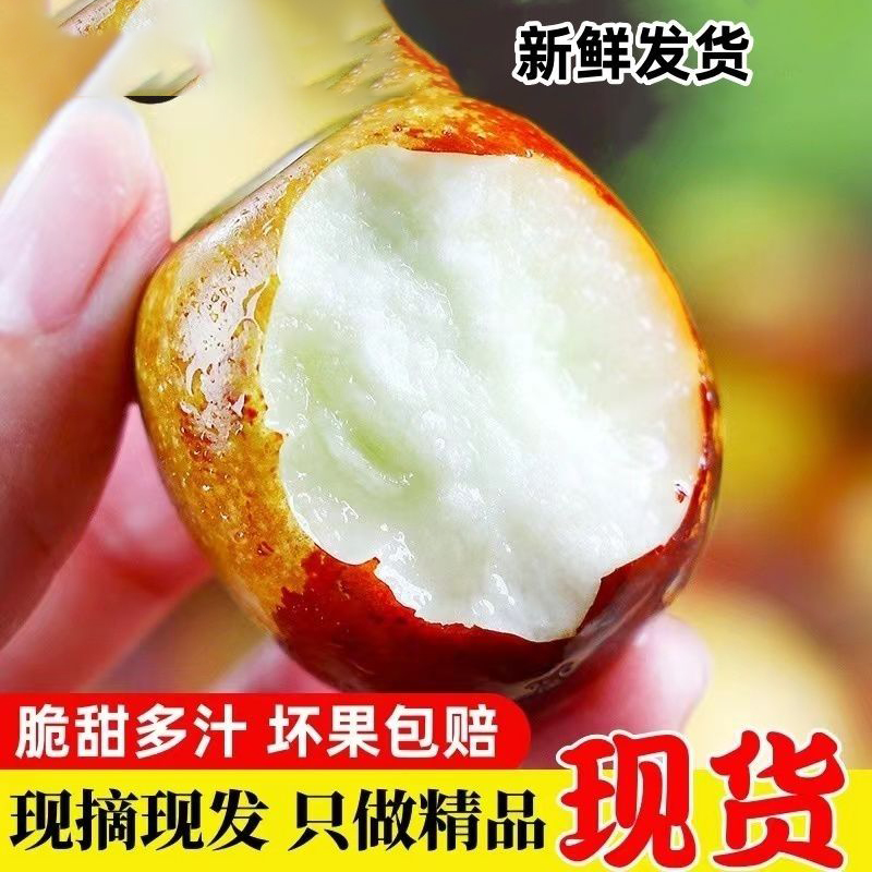 【冰糖冬枣】沾化果园现摘脆甜新鲜水果应季当季整箱红枣子批发
