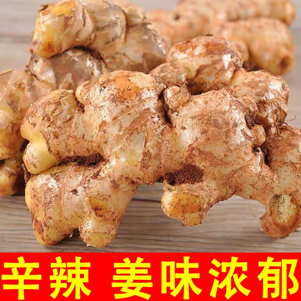 1正宗云南小黄姜高山种植辛辣十足月子姜3/5/9斤新鲜生姜老姜批发