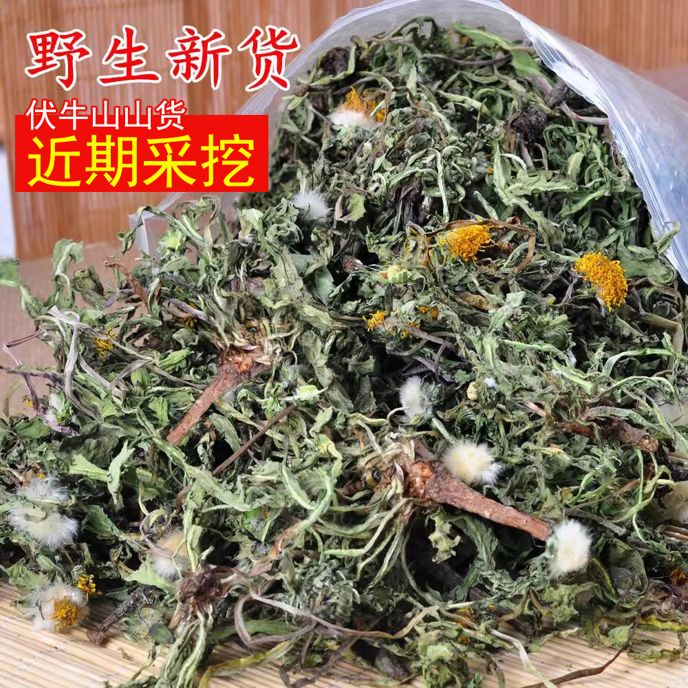 野生蒲公英新货天然整棵带根蒲公英草干货正品整颗蒲公英茶婆婆丁