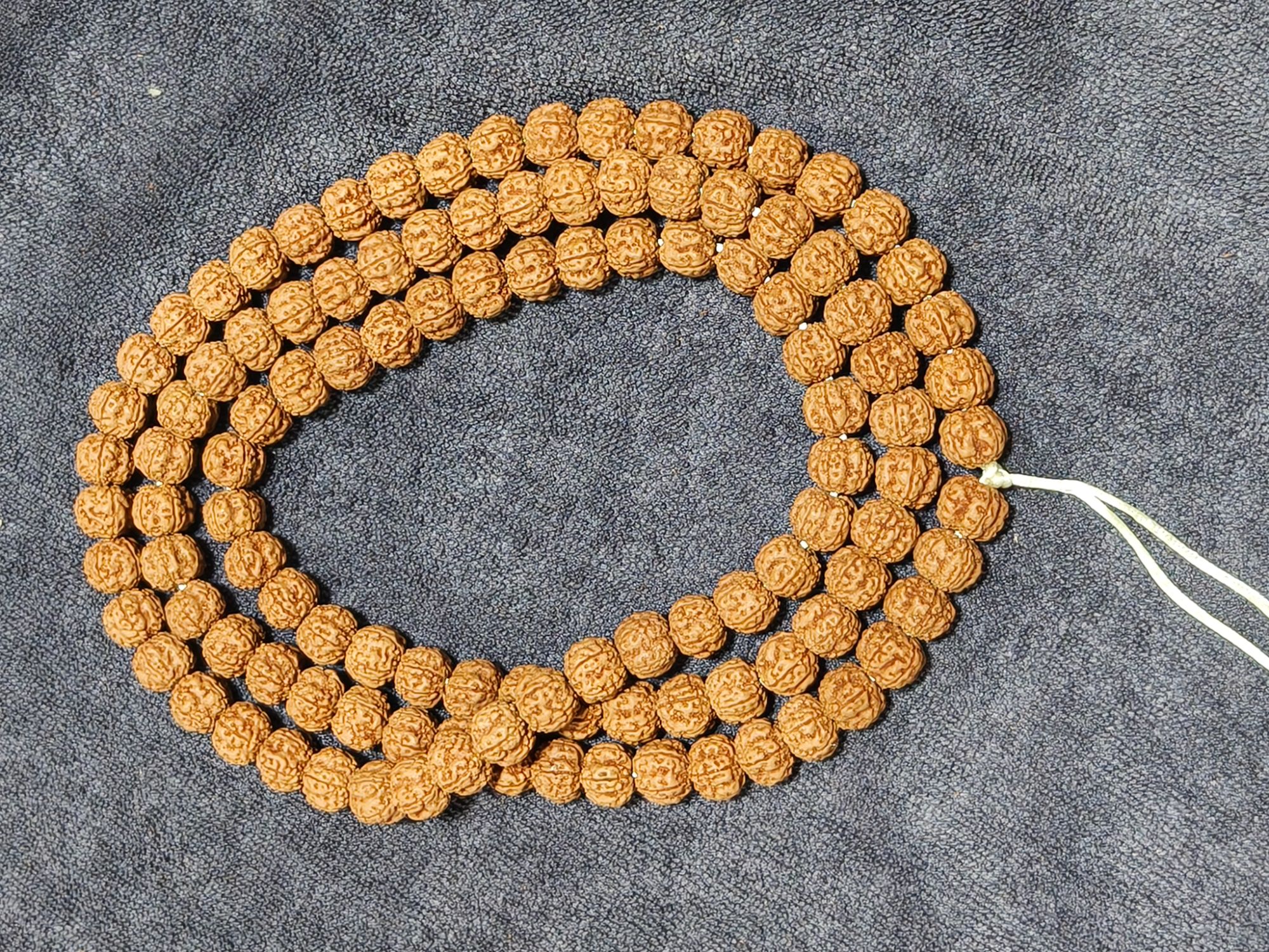 【老树花王小金刚】尺寸10-11mm随机发