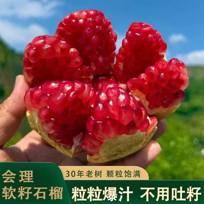 会理突尼斯软籽石榴新鲜应季水果4.5斤-9斤爆甜多汁产地直发L