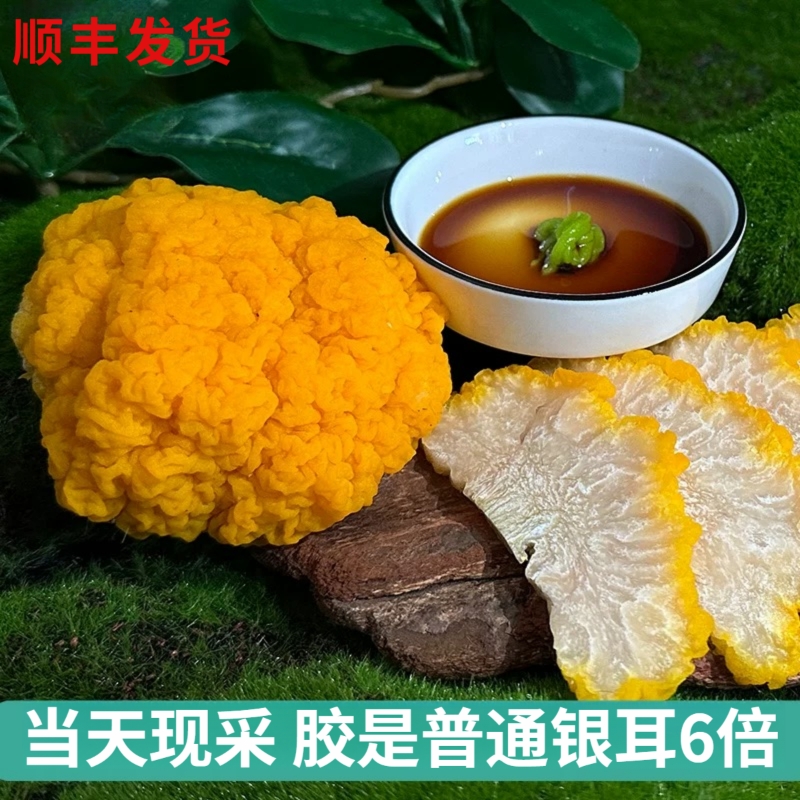 新鲜金耳菌【顺丰】3斤大朵新鲜黄金耳可刺身火锅食用菌银耳250g