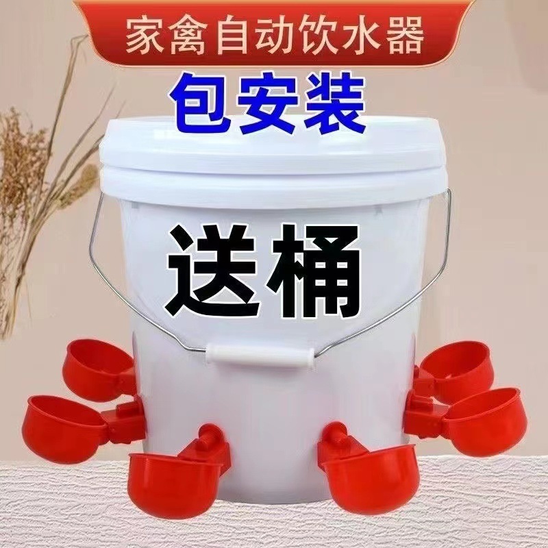 家禽养殖小鸡鸭鹅自动饮水碗饮水器鸽用自动喝水饮水碗鹌鹑鸡食槽