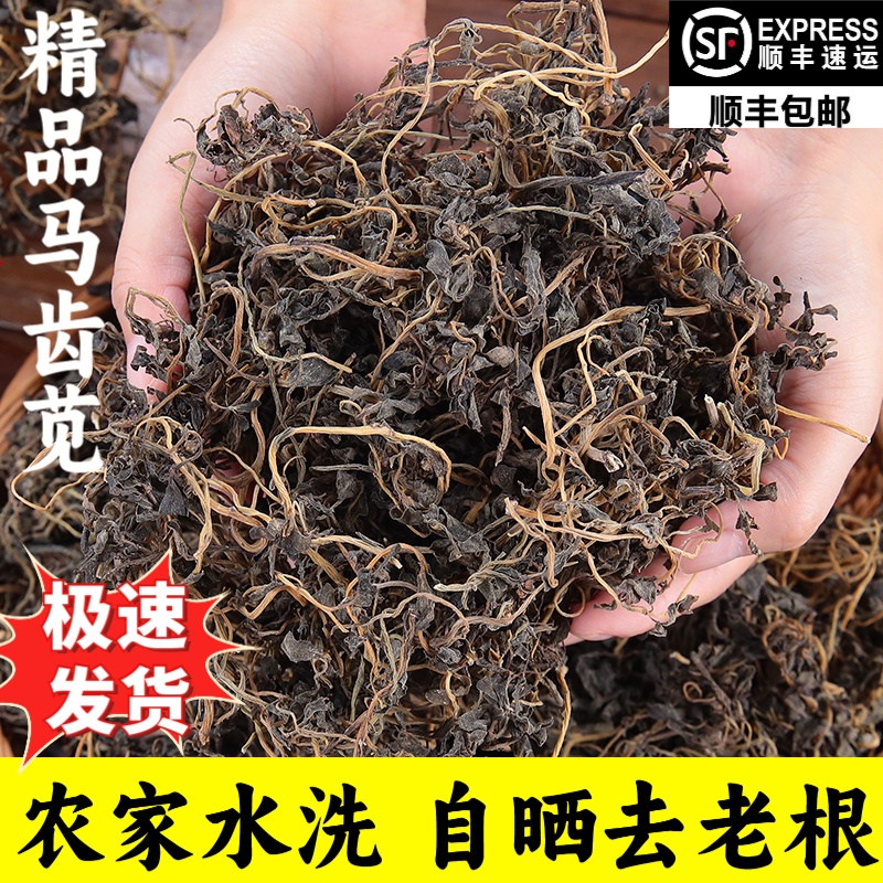 马齿苋食用水洗新货正品助农美食晾晒新鲜干货无老根现发马蜂菜农