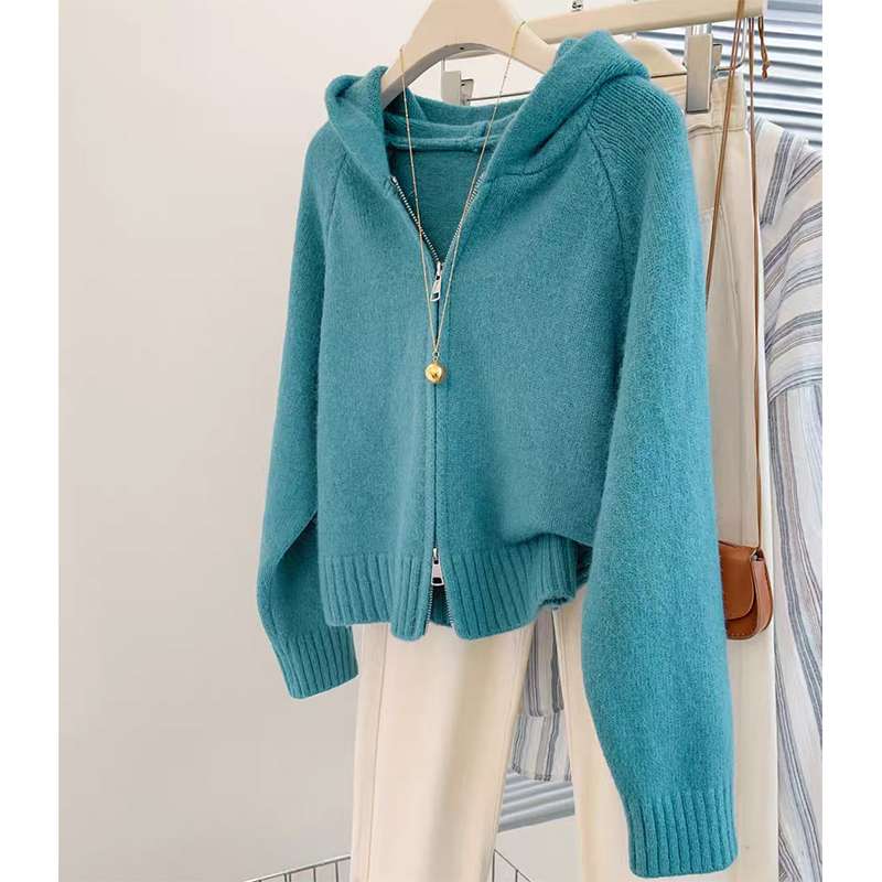 品牌折扣简约风蓝色连帽拉链开衫2025年春秋新款百搭宽松针织上衣