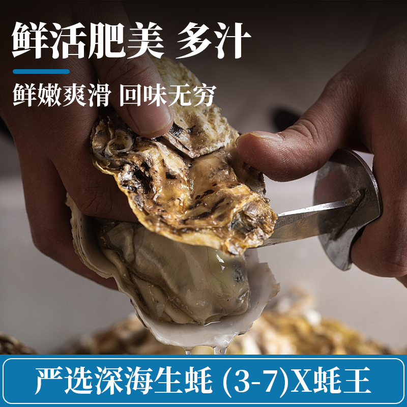 【活鲜】鲜活生蚝（3-7）X  蚝王当季新鲜美味海鲜水产 5斤装鲜活生蚝