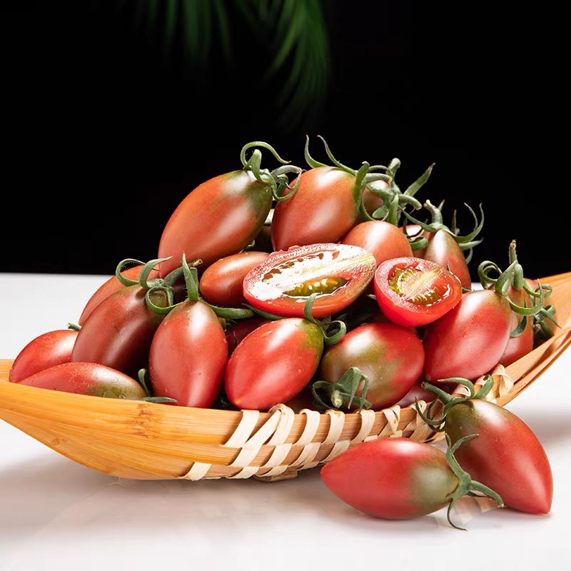 【一口爆汁】露天种植新鲜现摘紫弹头小番茄圣女果新鲜当季酸甜多汁