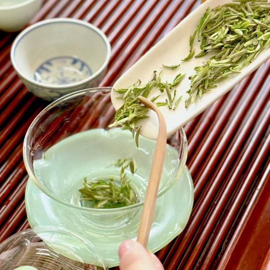 提采：2025新高山开园头采A1黄芽茶春茶老品种茶批发价