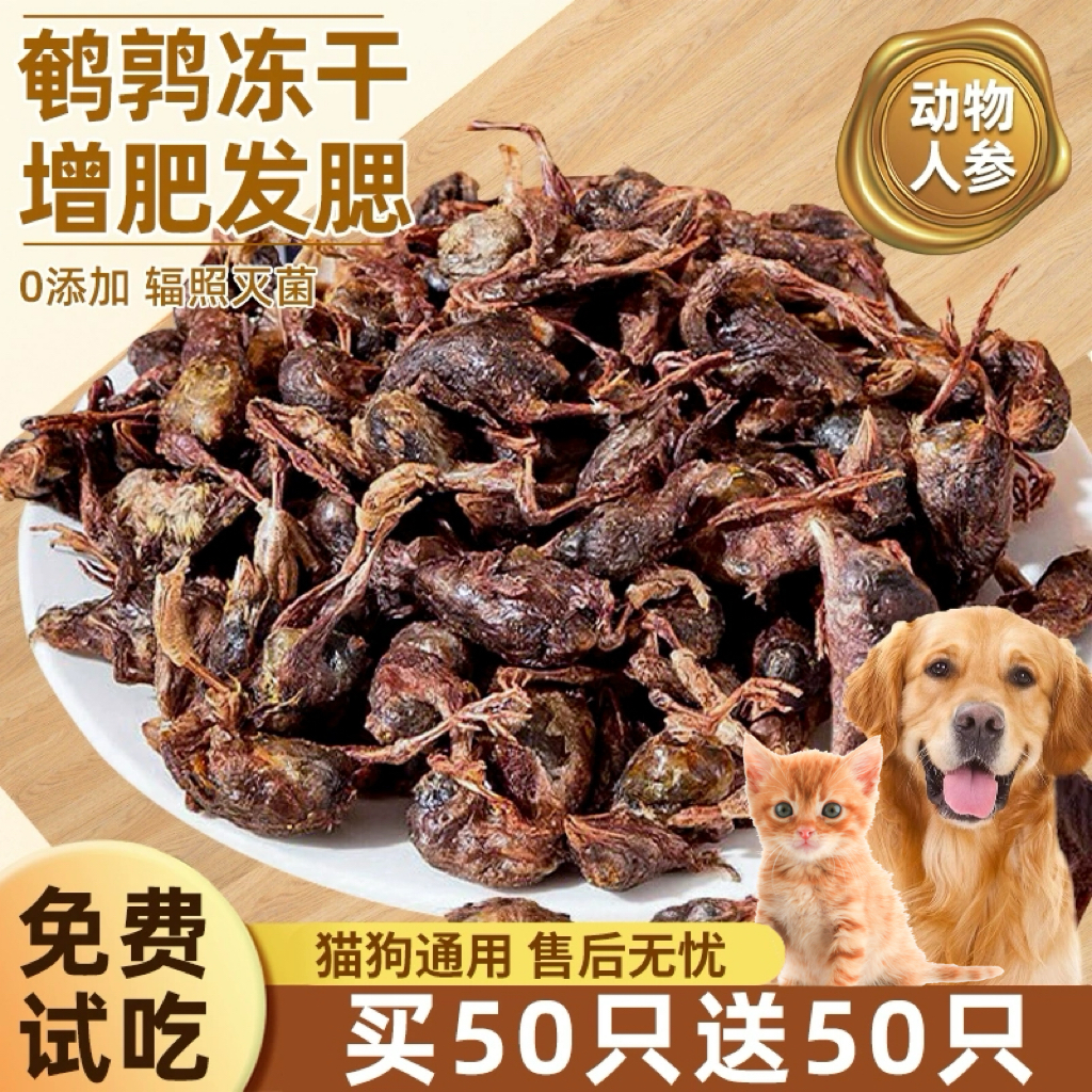 整只冻干小鹌鹑动物人参狗狗猫咪通用高营养零食增肥发腮解馋