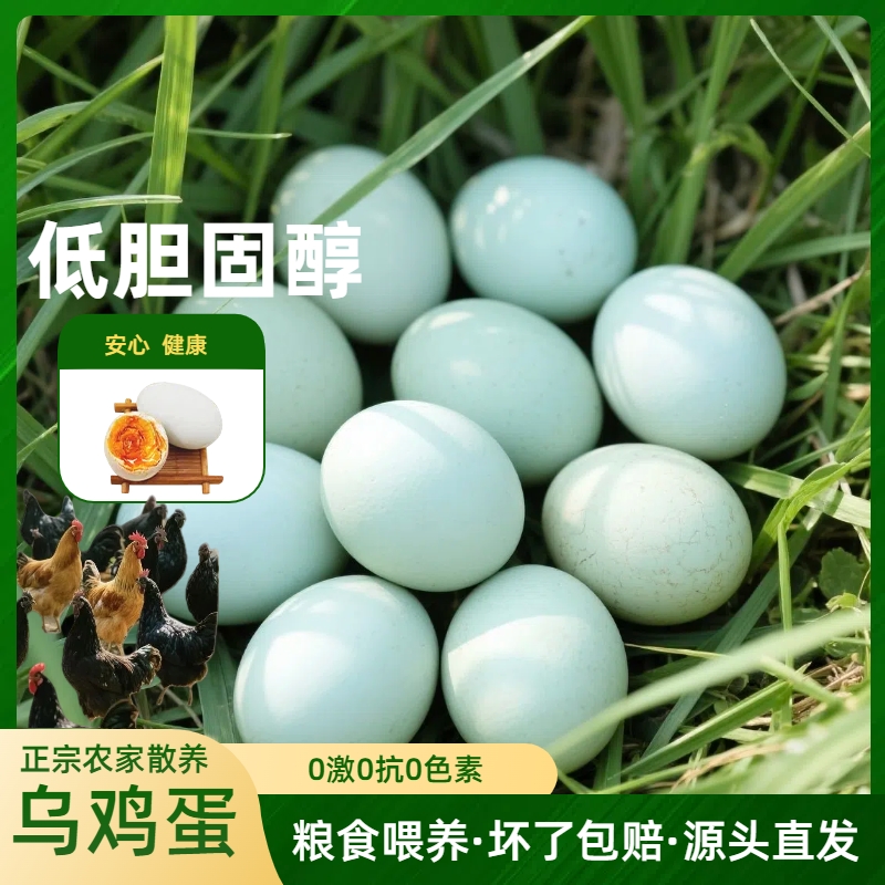 河南始祖山散养土鸡蛋天然营养嫩滑乌鸡蛋绿壳蛋山里农场现捡新鲜