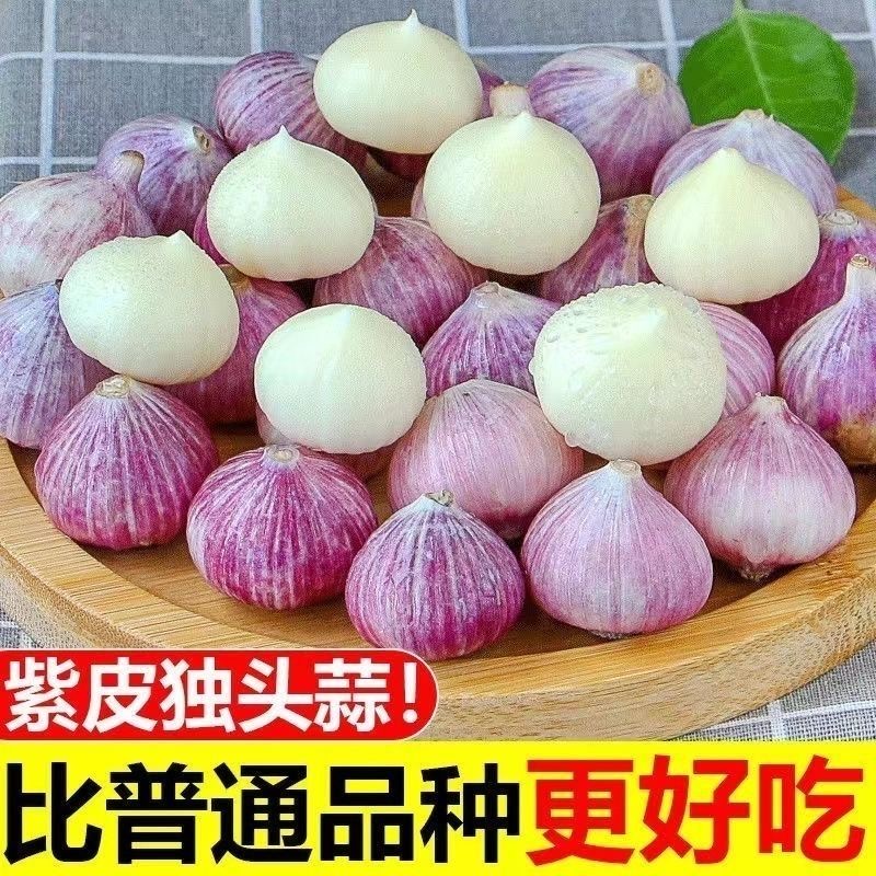 【新鲜干蒜】现晒紫皮独头蒜大蒜独蒜独蒜头当季新鲜干蒜蔬菜1斤