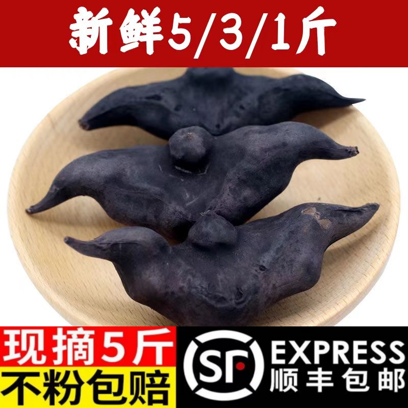 [顺丰]洪湖菱角新鲜老菱角现摘湖北嫩菱角莲角新鲜时令蔬菜1/3/5