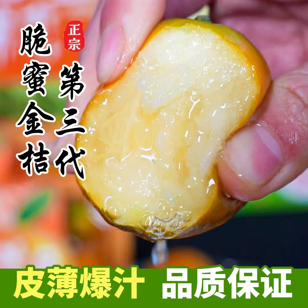 【家庭装】5斤广西正宗第三代脆密金桔多汁新鲜现摘水果当季现发