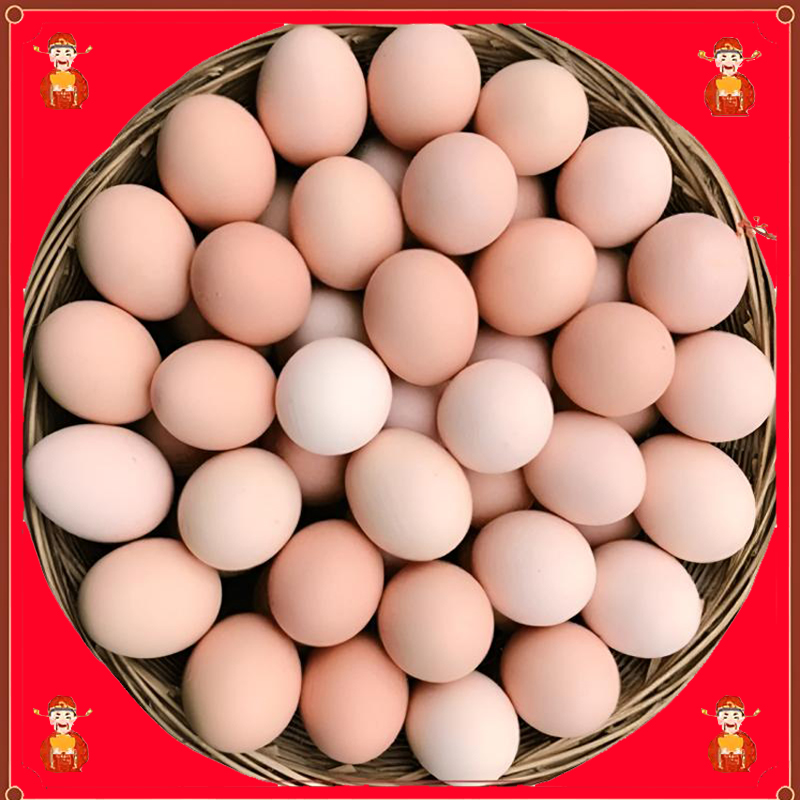 【新店起量】50枚土鸡蛋农家散养正宗新鲜健康鸡蛋营养鸡蛋10枚