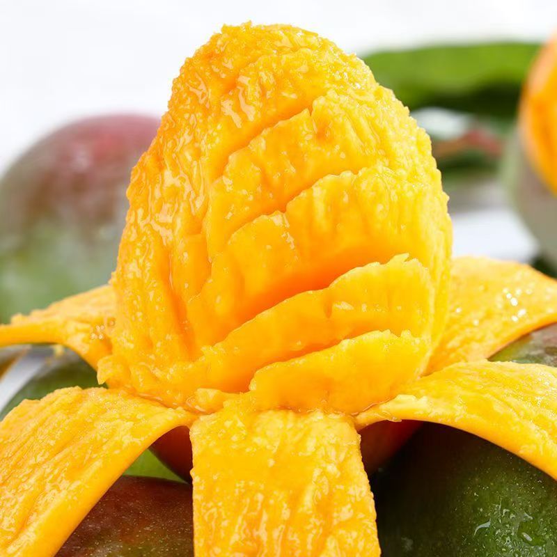 L攀枝花凯特芒果多汁香味浓郁新鲜现摘 带箱10斤装5-9个单果500g＋