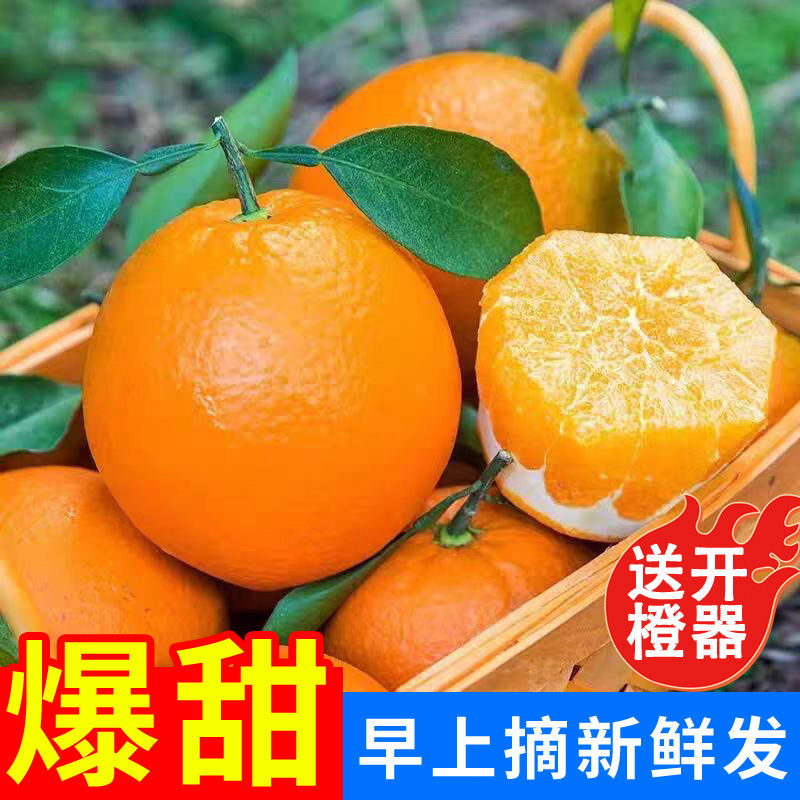 江西赣南脐橙新鲜现摘产地直发