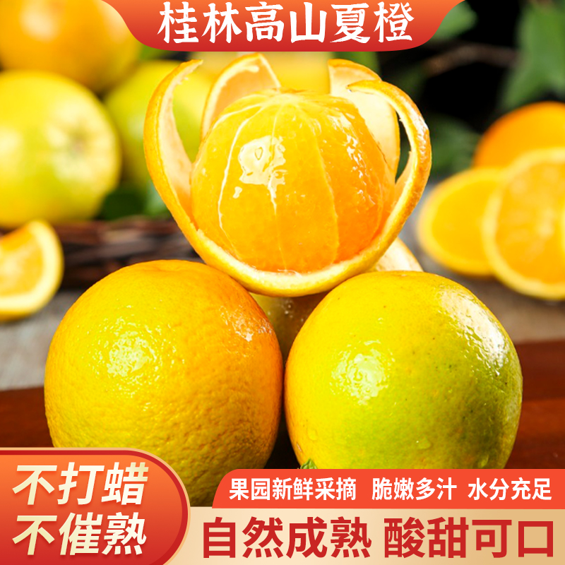 广西桂林高山夏橙新鲜脆嫩5斤9斤现摘应季水果香甜皮薄细腻鲜甜