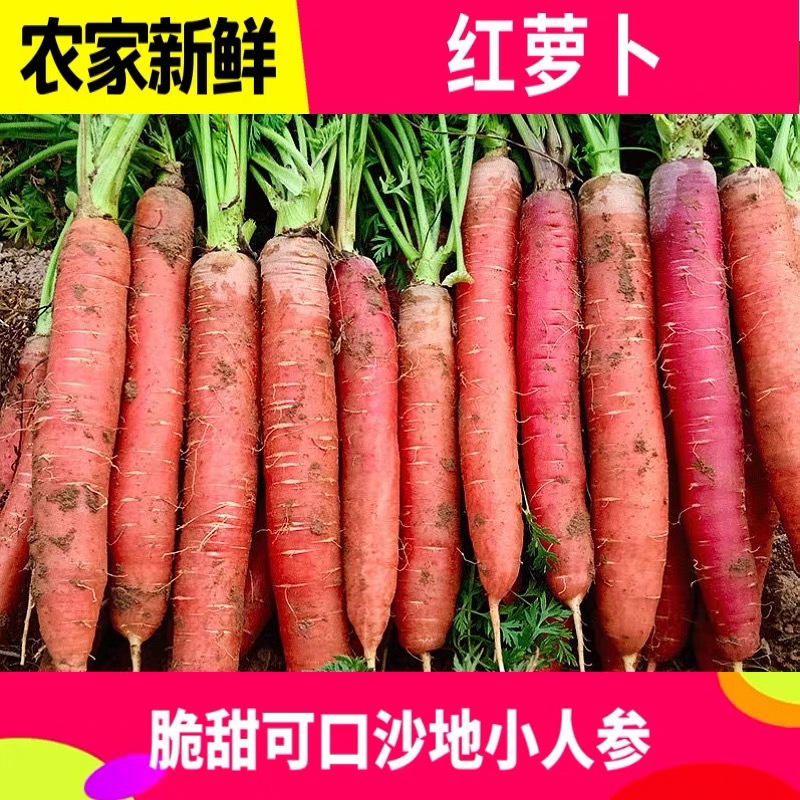 陕西大荔水果红萝卜新鲜现挖可生吃脆甜带土发货5斤装