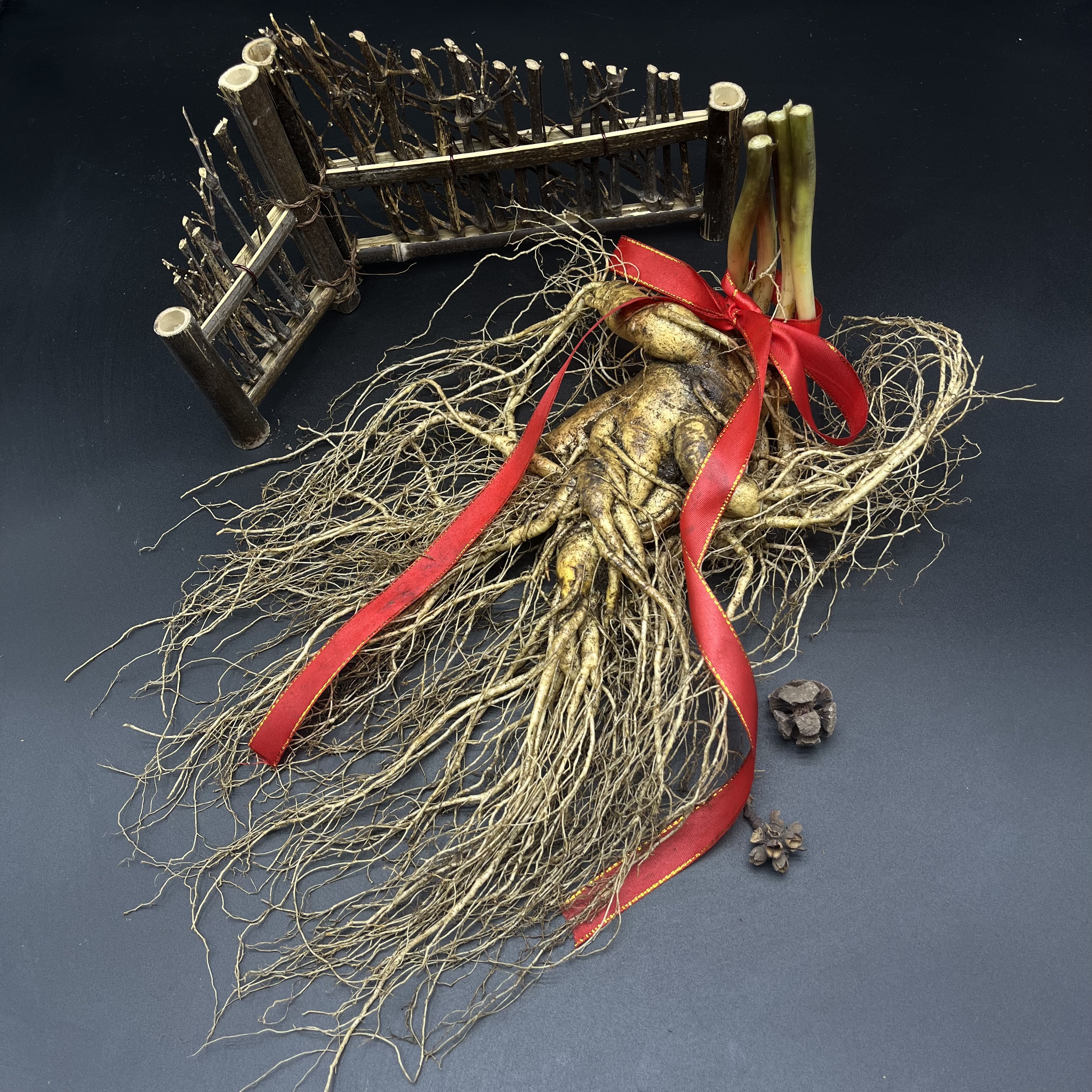 吉林新鲜人参大人参泡酒东北吉林送礼长白山鲜人参