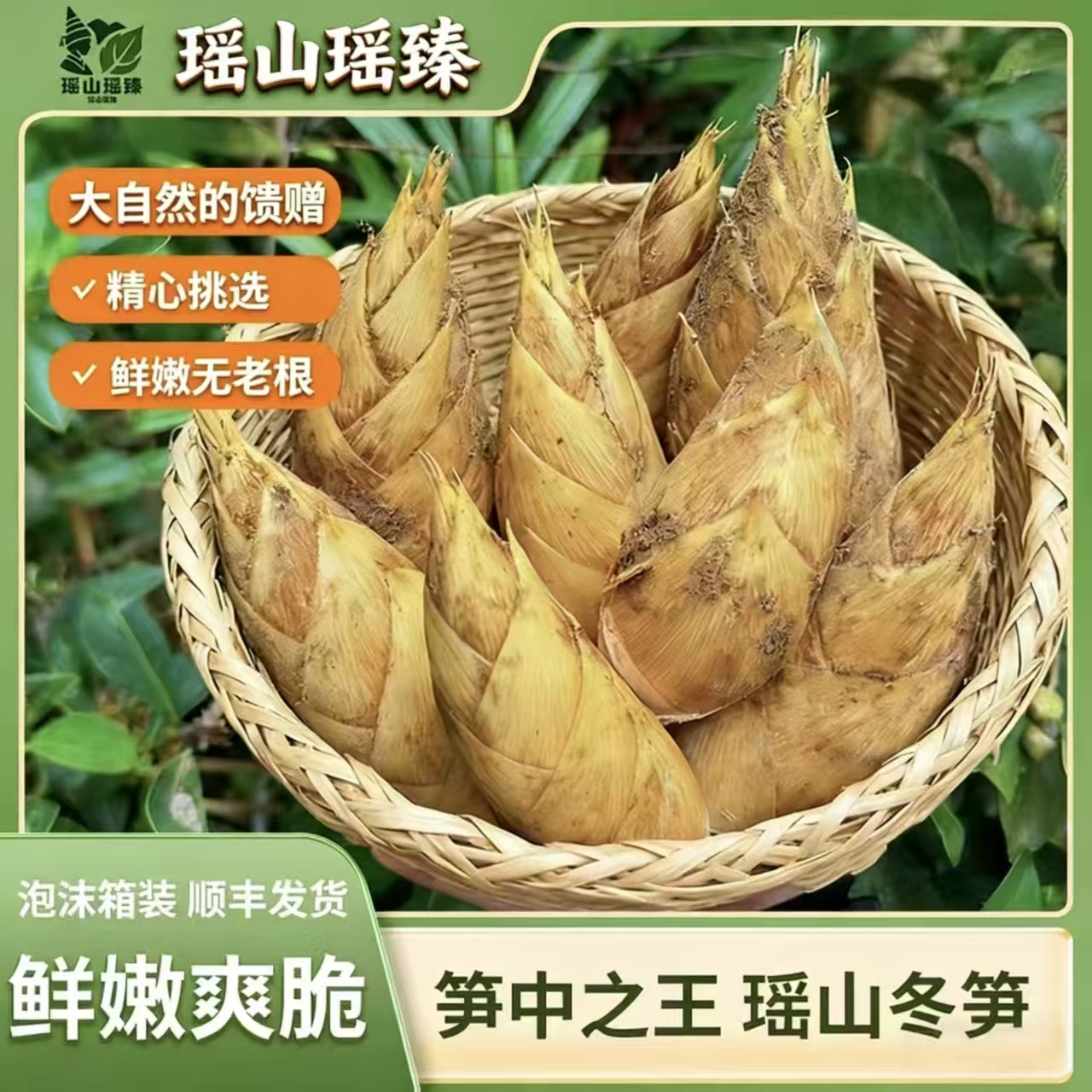 顺丰包邮新鲜现挖高山两头尖冬笋肉厚脆嫩饱满