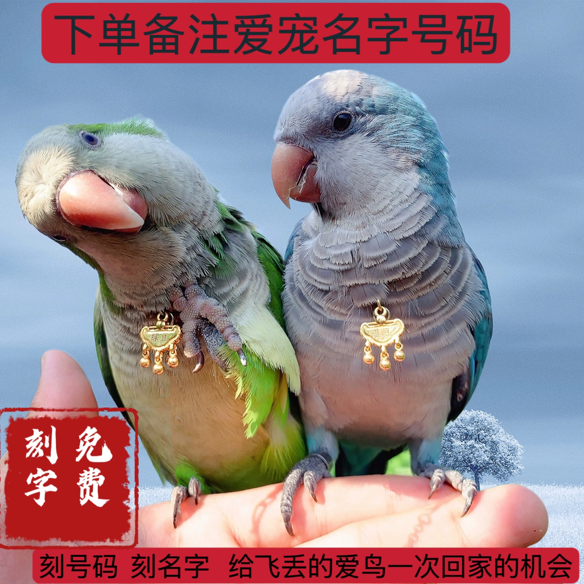 平安锁刻字鹦鹉脖套牡丹玄风栓鸟脖圈户外放飞遛鸟防丢信息轻巧