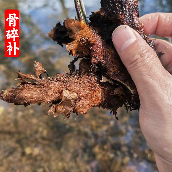 骨碎补500g干品崖姜岩连姜爬岩姜巴岩姜肉碎补猴姜石毛姜无硫.
