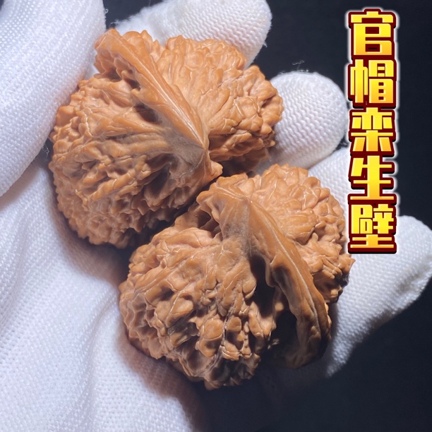 官帽栾生壁 壁形浑然天成 严丝合缝 全品款 无药无瑕疵 推荐入手