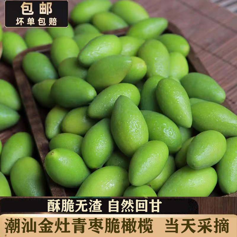 潮汕金灶脆香橄榄 酥脆甘香 新鲜采摘