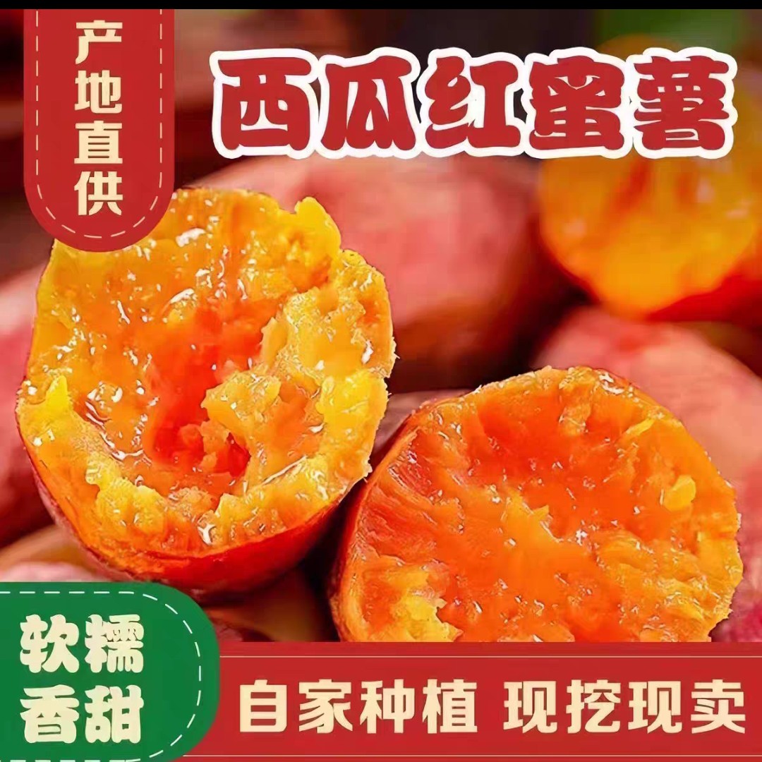 西瓜红蜜薯新鲜红薯农家自种西瓜红糖心地瓜甜红薯烟薯番薯小香薯