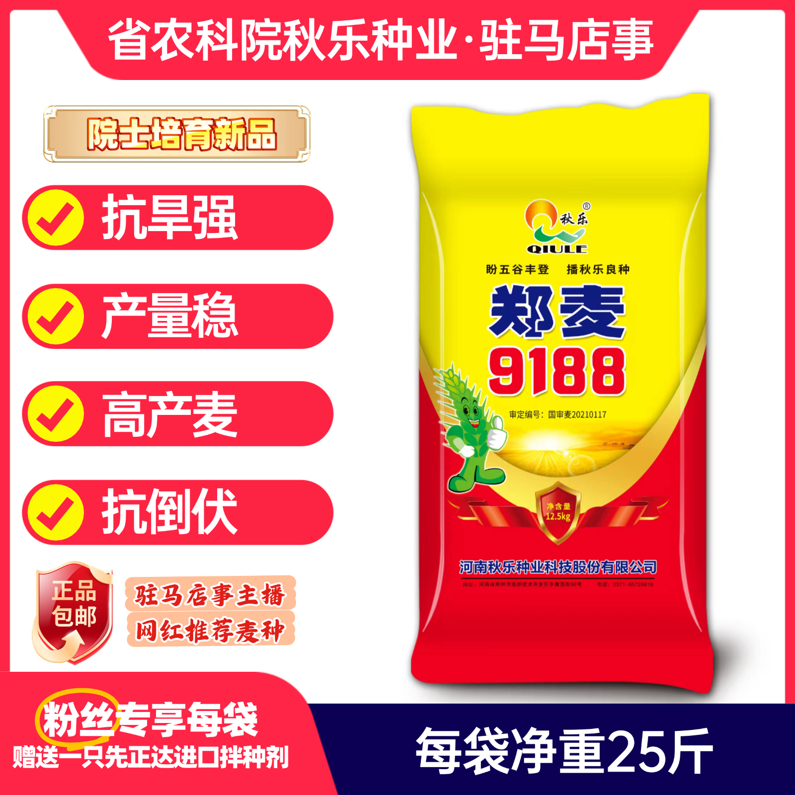 国审郑麦9188小麦种子原种2025耐旱耐寒高产稳产抗倒伏小麦种包邮