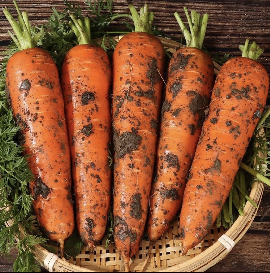 2025新鲜胡萝卜红萝卜沙地脆甜可口现挖新鲜胡萝卜