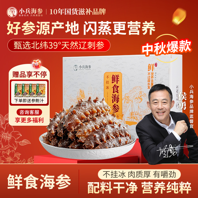 【鲜食】小兵海参10-12头/斤斤侯勇朱时茂推荐即食正宗大连辽刺参