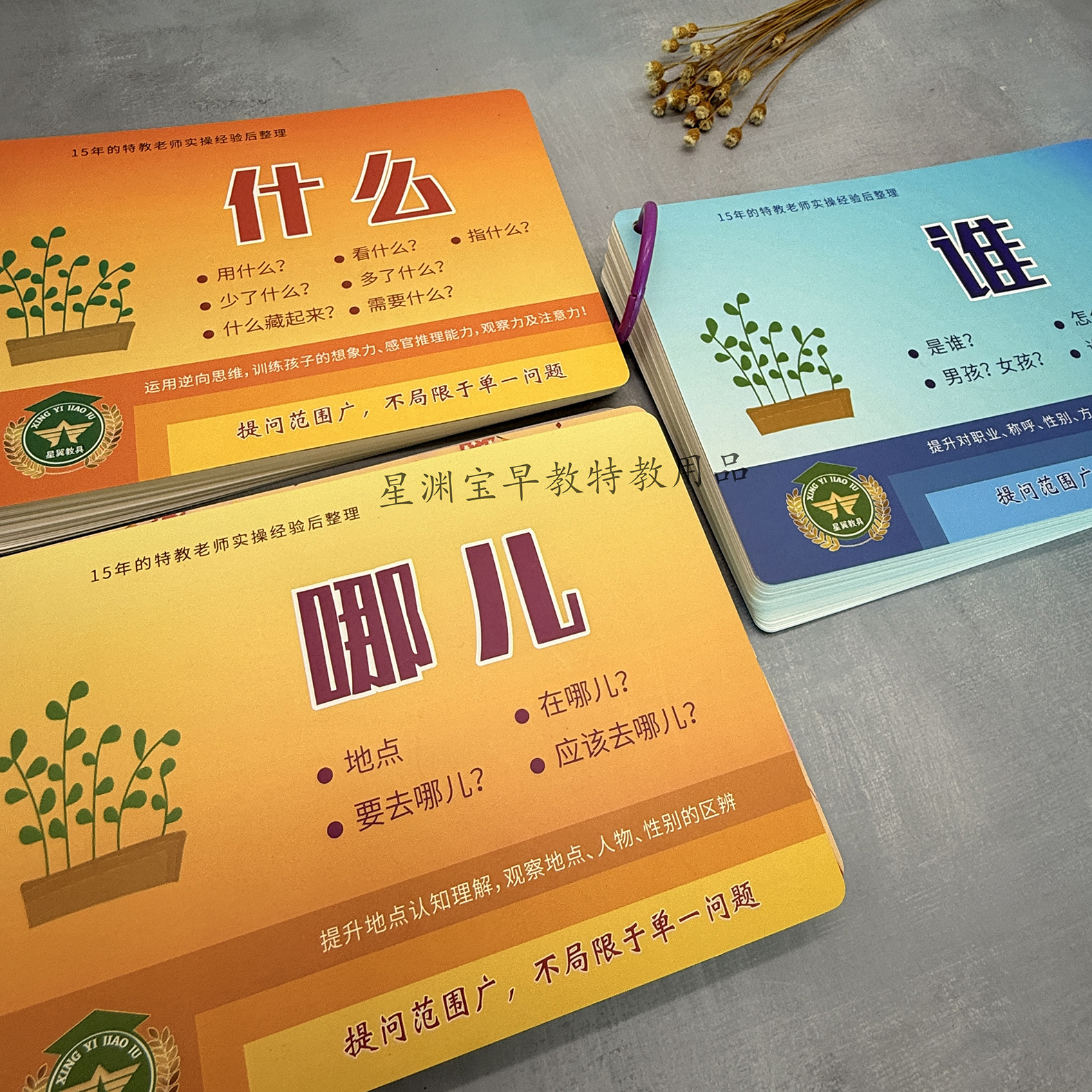 3W-谁什么哪儿-泛化问答训练卡幼儿早教帮助孩子提升语言理解