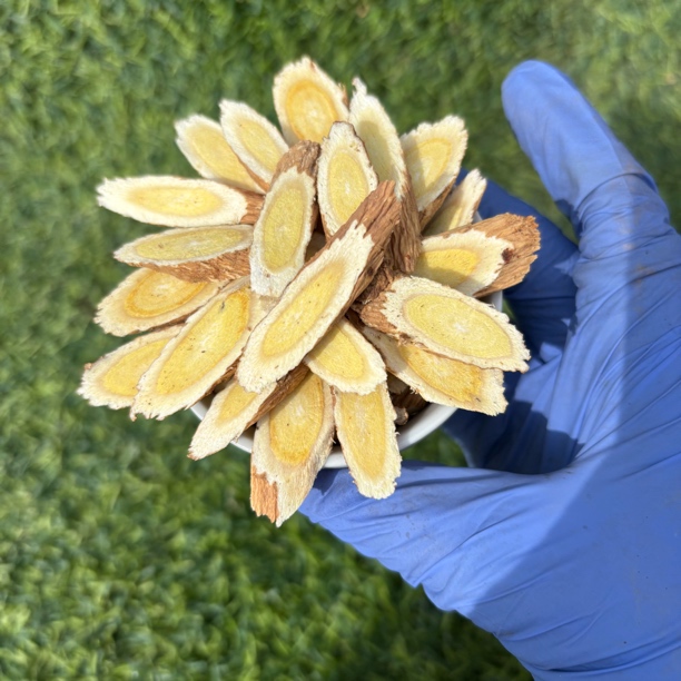 甘肃岷县［深山采挖（蛋黄心主根切片黄芪)无熏硫，煲汤炖肉煮水泡水