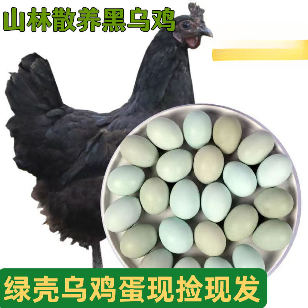 【助农】【新店冲量】正宗农家散养土鸡蛋绿壳乌鸡蛋新鲜老年鲜鸡