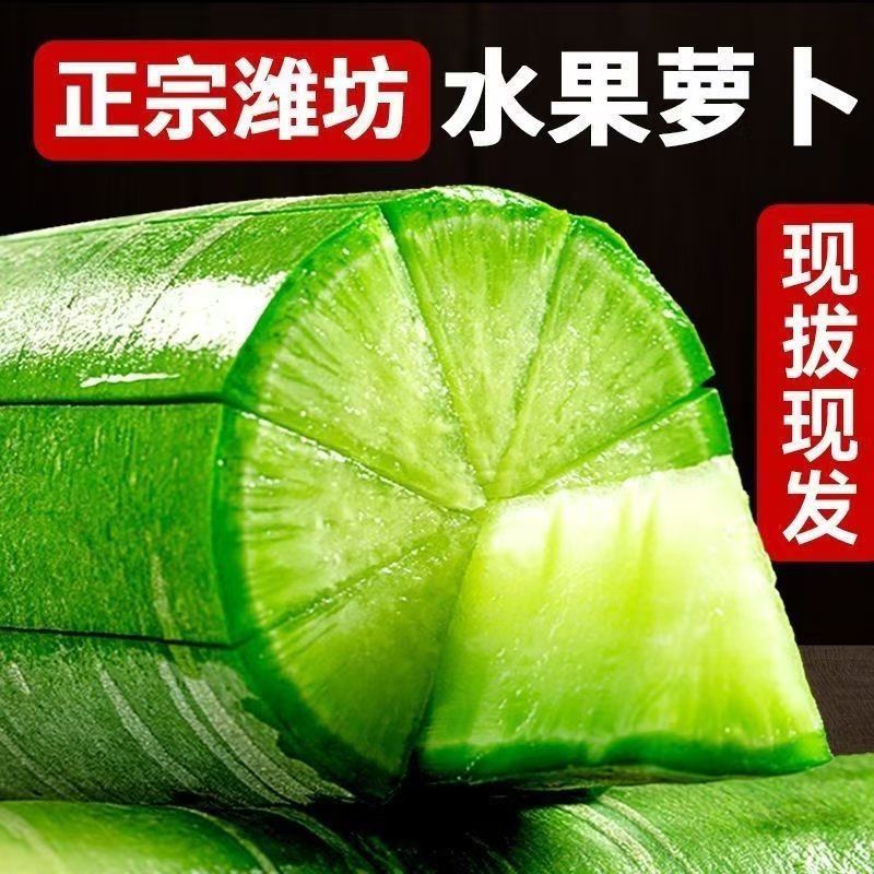 正宗潍坊水果萝卜脆甜青萝卜生吃当季新鲜自种现挖潍县萝卜