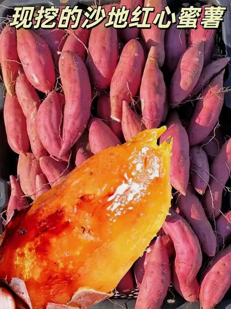 新疆米泉黑土地种植 一级种红蜜蜜薯 软糯清甜 无筋无丝 米泉直发