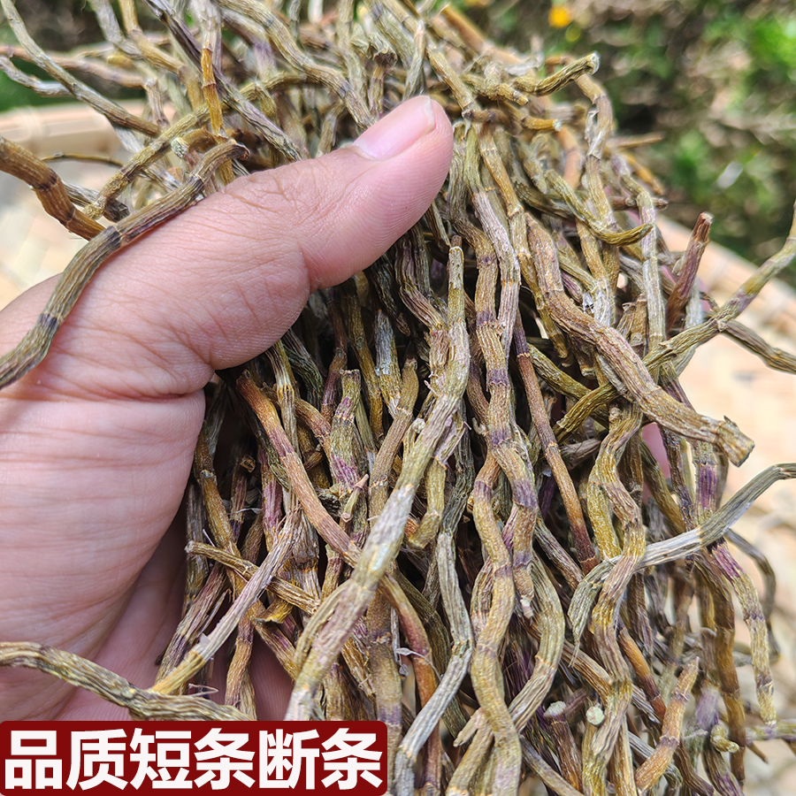 双十一好物高品质铁皮石斛短条断条石斛干条磨粉胶质粘牙石斛鲜条