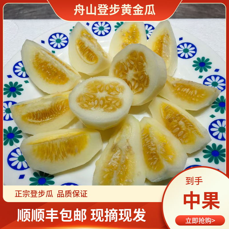 正宗舟山登步黄金瓜佛瓜小香瓜登步黄金瓜 顺丰包邮
