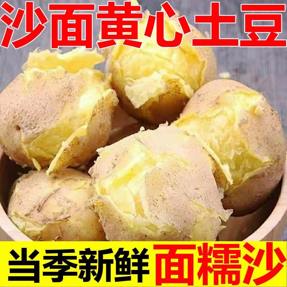【带箱9-10斤】2025沙面黄心土豆D新鲜现挖土豆甘肃定西洋芋蔬菜