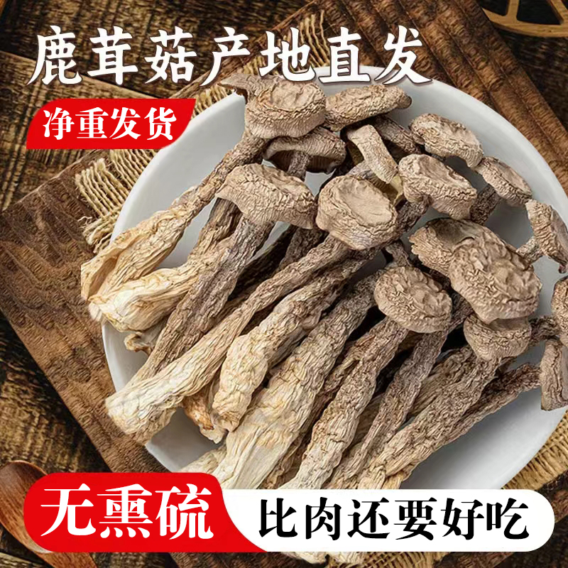 鹿茸菇干货500g/250g古田特产鹿茸菇新鲜鹿茸菌脆脆菇鹿耳菇