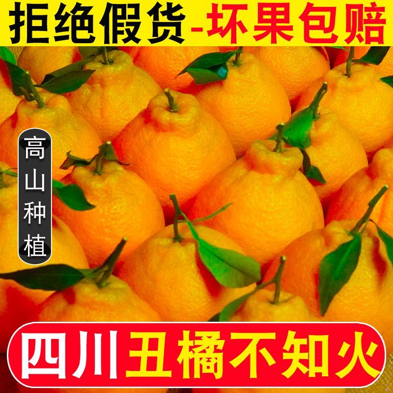 【精品商超果】四川不知火丑橘新鲜现摘爆甜多汁水果应季当季粑粑柑