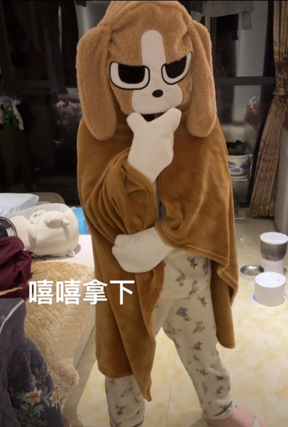 比格多栋毯子张田中办公午休毯子出门扮狗暹罗厘普比格犬狗飞机毯