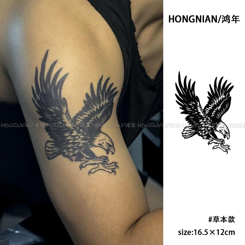 雄鹰展翅 草本纹身贴半永久经典老鹰帅气手臂防水持久逼真贴纸潮