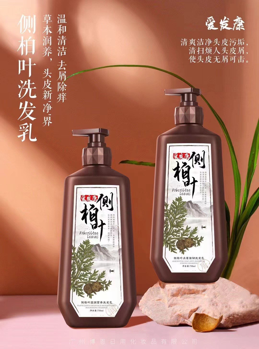 侧柏叶洗发乳去屑控油柔顺