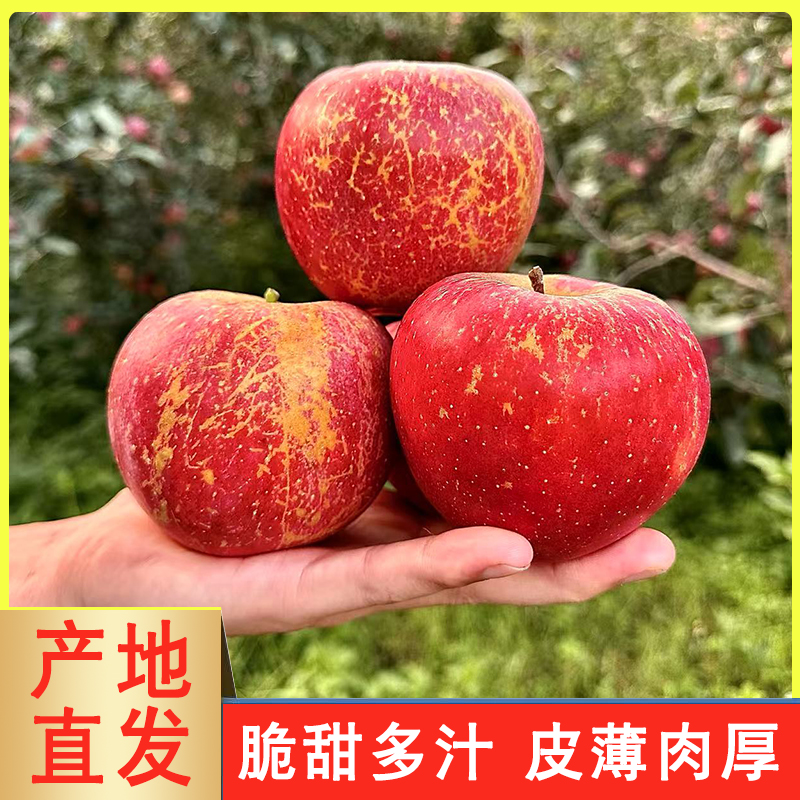 正宗云南昭通冰糖心丑苹果