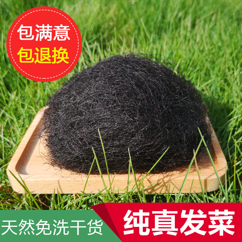 日晒海发菜干货足干免洗发菜袋装头发菜海藻菜龙须菜发财菜丸100g