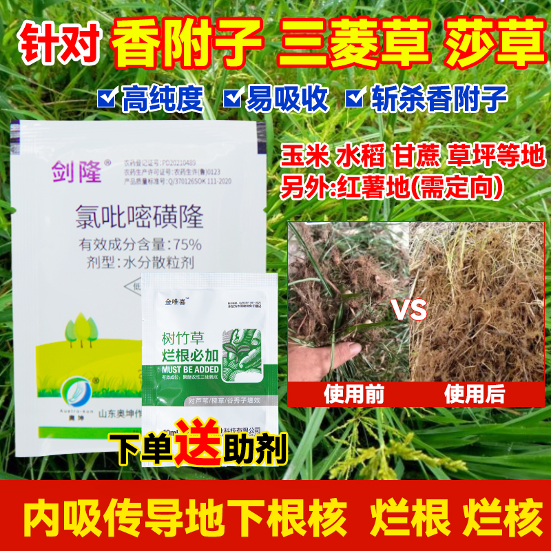 专业香附子除草套装烂根烂核型雷公头回头青三棱草田埂空地慢效药
