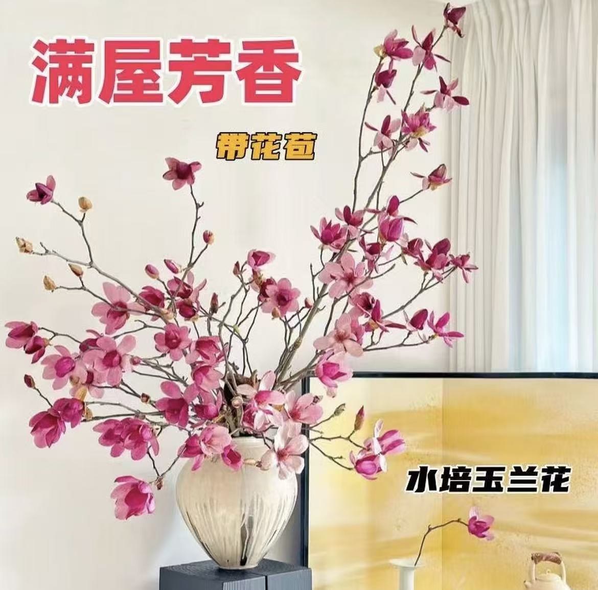 玉兰鲜花水培植物带花苞鲜枝 水养鲜花卉室内耐寒盆栽 开花